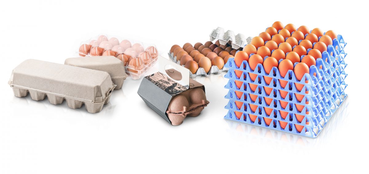 packaging solutions for eggs industry